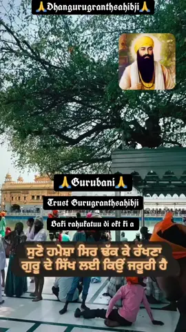 #dhangurugranthsahibji #gurbanishabad #sachkhandshriharmindarsahib #kathakirtan #satnamwahegurujiੴੴsatnaamwahegurujiੴ 🙏🙏