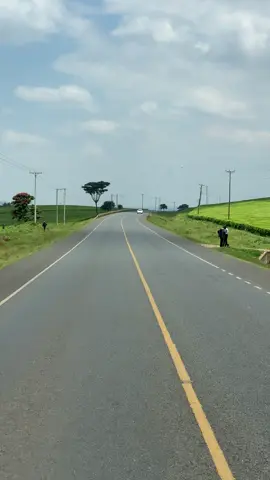 Tea plantation makes Kericho beautiful.#traveltiktok #foryou #fypシ゚ #foryoupage #creatorsearchinsights 