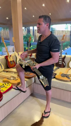 Um pouco sobre elas …. #ibanezguitars 