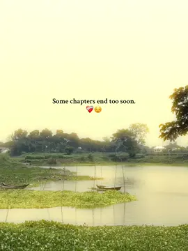 Some chapters end too soon. ❤️‍🩹☺️#foryoupage #fypシ゚viral #viralvideo #statusvideo #tendingvideo    