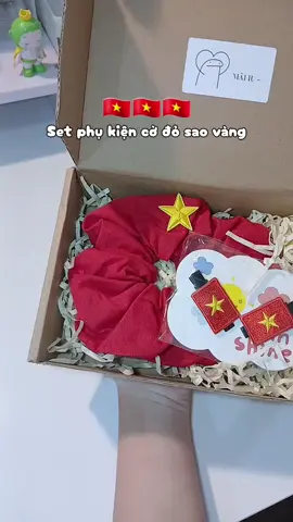 Mng cbi gì cho 2-9 gì chưa?🇻🇳🇻🇳🥰 #🇻🇳 #vietnam #setphukiencodosaovang #fyp 