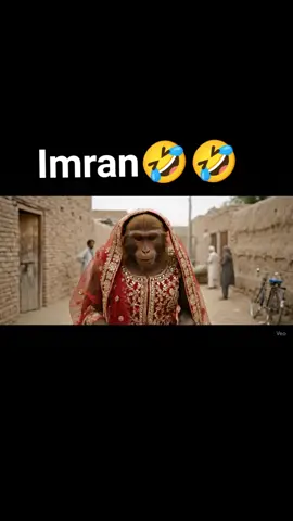 Please mery Imran ko bolo wapas aa jy warna main mar jao ge #donkey #fyp #funny #viralvideo #videoviral 