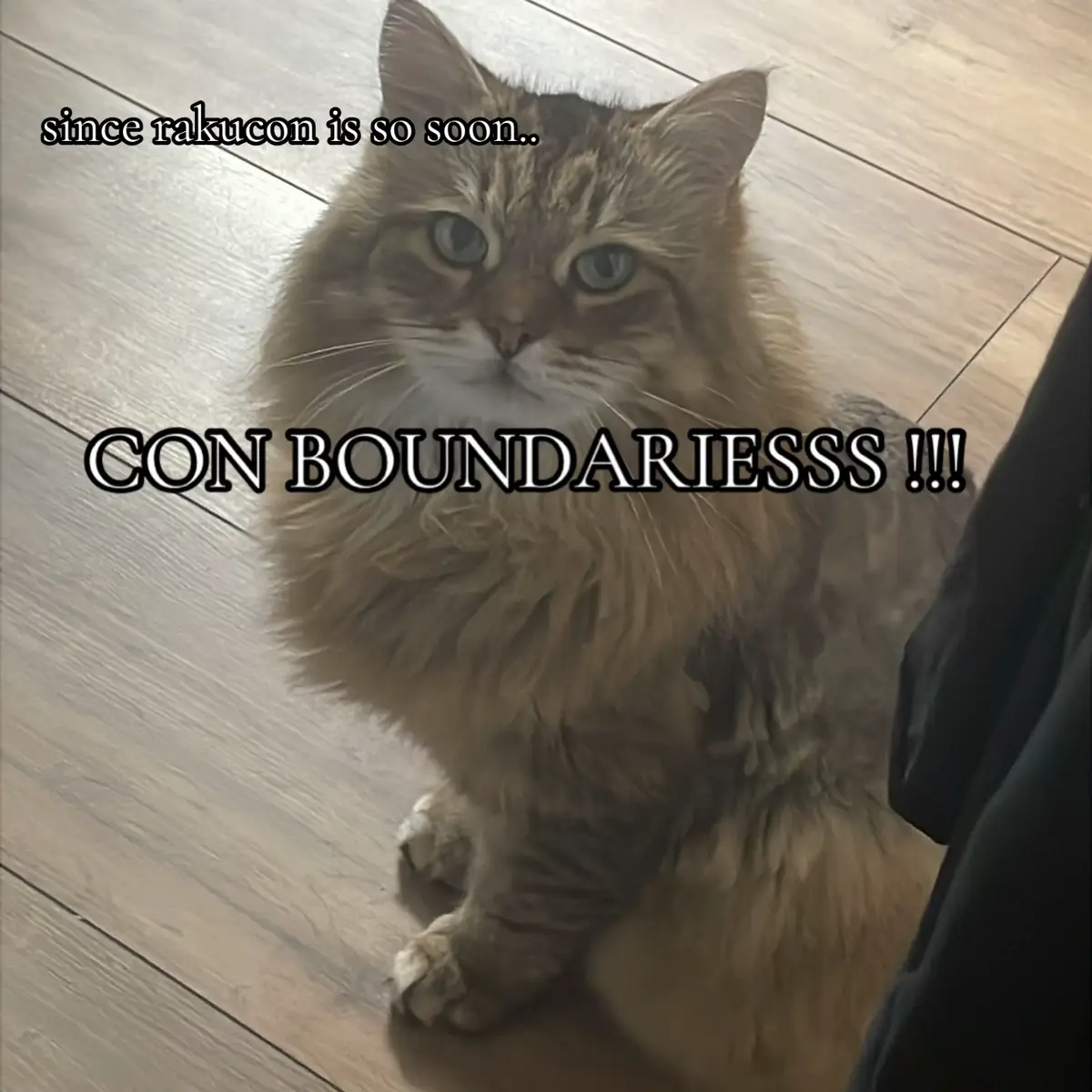 my partner does not come to conventions so any flirting or actual kissing jst dont do <3 || IM SO EXCITED U GUYS DONT UNDERSTANDDD || #rakuconmanchester #comiccon #cosplayconvention #boundaries #cosplay 