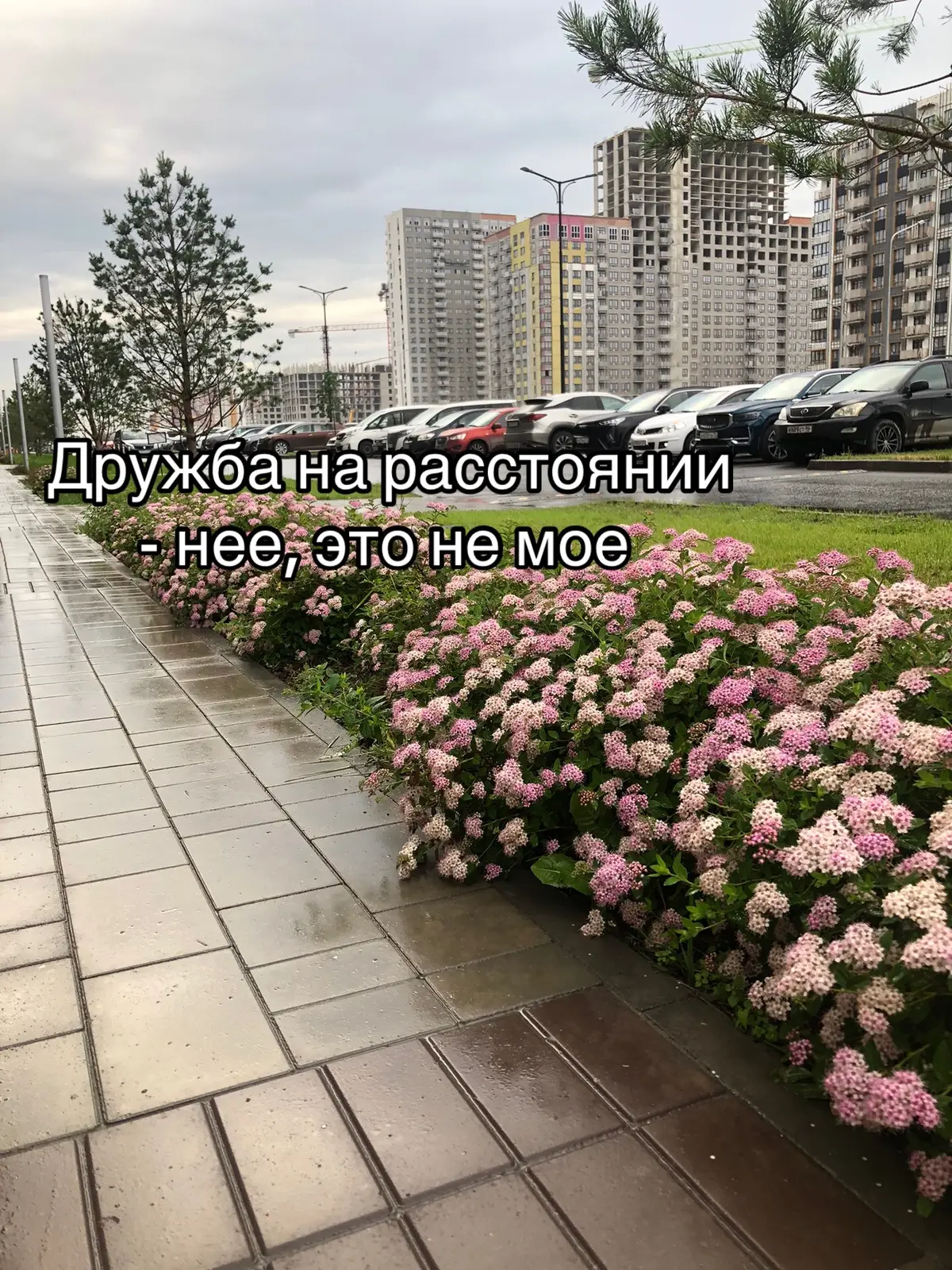 Отмечайте своих подружек на расстоянии ❤️😋