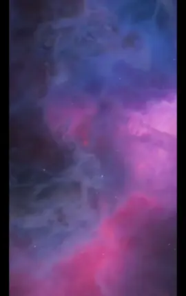 ‼️BIG BATTLE ‼️ 16 августа 21:00 по мск                     20:00 по Европе   Большой батл против Миши Вайса  Приходите будем разрывать !  Регистрироваться на эфир можно в шапке профиля.  Всех буду ждать 😘#battle #tiktoklive 