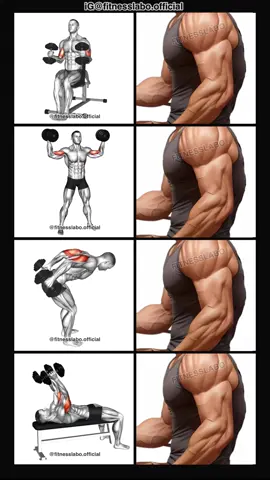 ✅ Dumbbell Arm Workout  ① Hammer Curl ② High Curl ③ Kickback  ④ Triceps Extension  3 sets 15 reps  #Fitness #gym #exercise  #workout #workoutroutine         