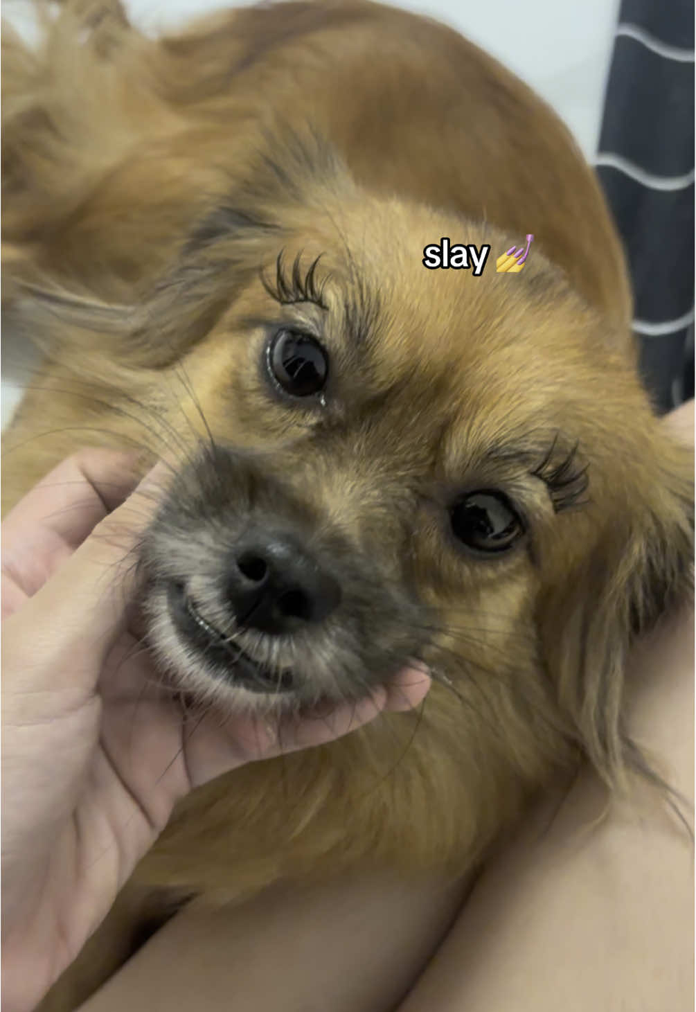 satisfied customer✅ @DOROLAB #dorolabeyelash 