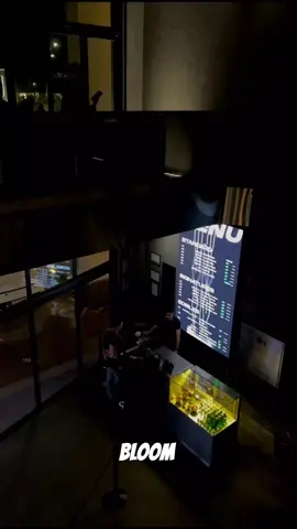 #Bloom#coffee#كوفيهات #الخبر #بلوم#تشيزكيك 