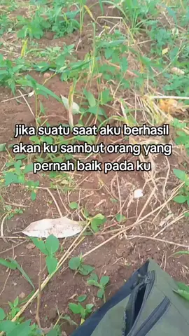 okee kawan#fyppppppppppppppppppppppp #katakata #motivasi #masukberandafypシ #fypage 