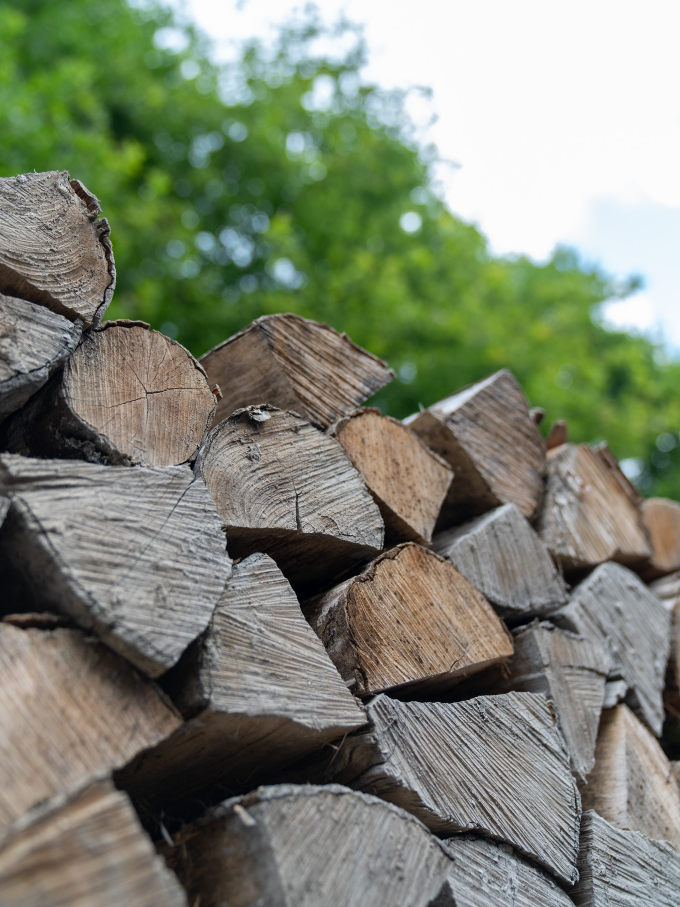 Livraison de bois de chauffage dans toute la France ! 🇫🇷📦 Chez Bois d'Chauff Express, nous ne nous contentons pas de fournir du bois de qualité : nous vous l’acheminons partout en France grâce à un réseau de transporteurs rigoureusement sélectionnés. 🔥 Que vous soyez en ville ou à la campagne, vous pouvez recevoir vos palettes de bois empilées directement chez vous. ✔️ Livraison fiable ✔️ Partout en France ✔️ Bois sec prêt à l’emploi 👉 À noter : les frais de livraison varient selon votre zone géographique, notamment pour les produits en palettes empilées, découvrez les modalités sur notre site internet (lien en bio). Livraison possible en Belgique, Suisse et Luxembourg, pour cela nous contacter directement. #boisdechauffage#livraison#bois#forest#forestworker#chauffage#hiver#france#luxembourg#belgique#suisse#luxembourg#pourtoii #woodworking#entreprisefrancaise#grandest#nature