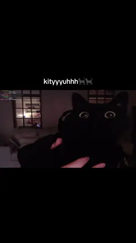 #caseoh #kitty #fyp #viral 