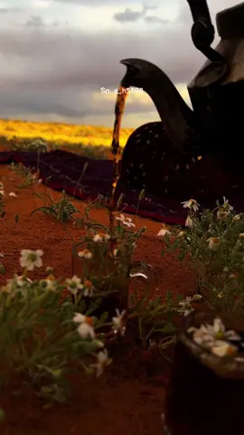 #راف_الطويل🌷 #اكسبلور #اكسبلورexplore 