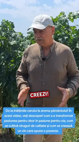 De la înălțimile cerului la aroma pământului! Deputatul USR de Prahova Felix Bulearcă a vizitat Domeniile Stanca și a stat de vorbă cu Claudia și Dan Conderman, doi foști piloți care au avut curajul de a face un salt spectaculos de la acrobațiile aviatice la provocările viticulturii. În acest video, veți descoperi cum au transformat pasiunea pentru zbor în pasiunea pentru vie, cum cultivă struguri de calitate și cum creează un vin care spune o poveste. #RomâniaMergeÎnainte  #România  #USR  #fyp  #viralvideo 
