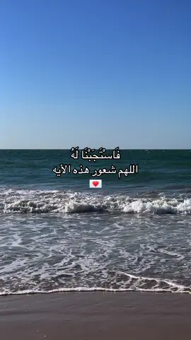 أذكرونـي بدعـوة ❣️ٌ #fyp #foryoupage #قرآن #اجر_لي_ولكم #viral 