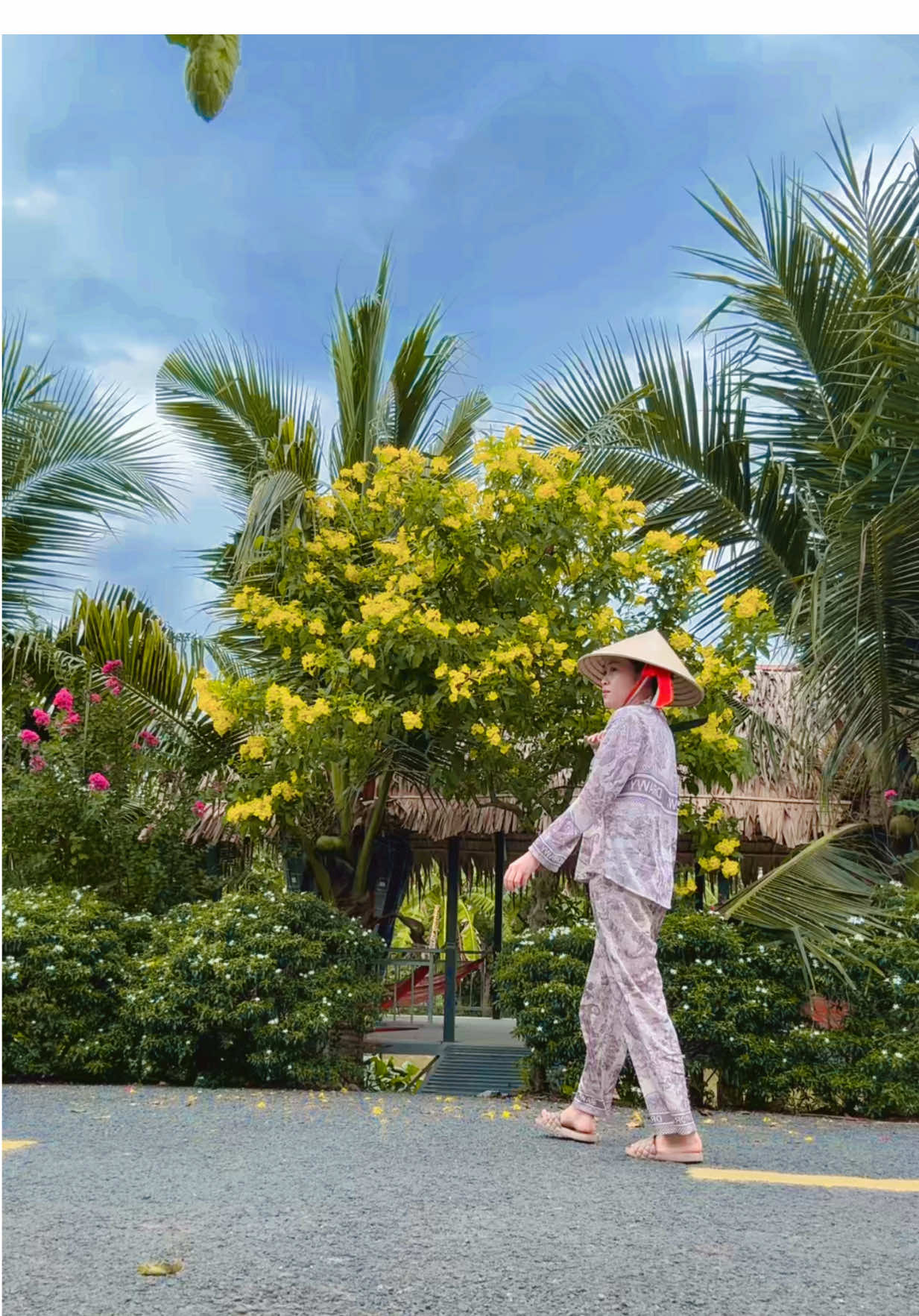 Mệt chưa anh về đây, em chặt dừa cho uống🤭 #cogaimientay #viral #xuhuong 