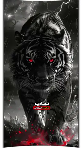 #CapCut  #متاابعة_فضلا_وليس_أمرا  #عادة_النشر🔃  #لايكات 