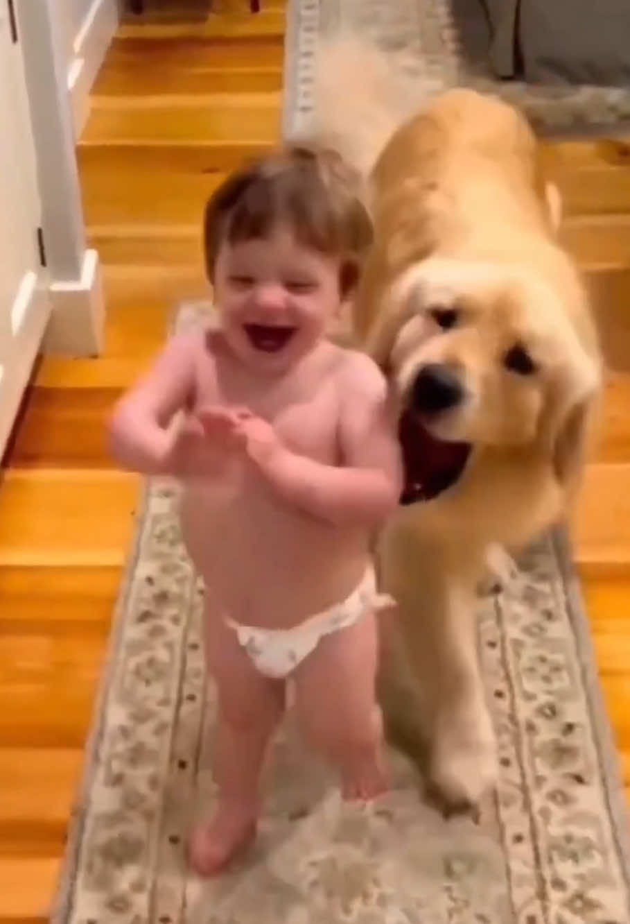 Best friends ❤️#dog #baby #pet #Love #cute #friends #lovestory #dogsoftiktok #foryou #usa🇺🇸 