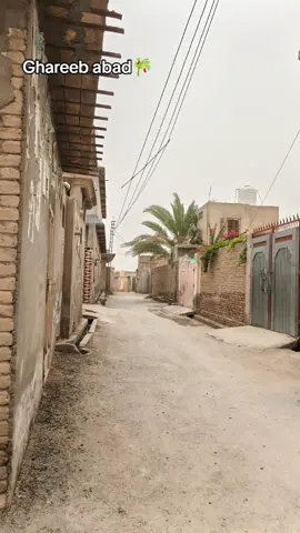 watch full plz #nushki 