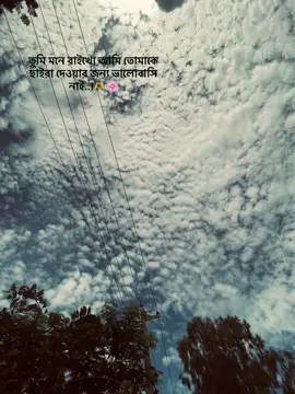 তুমি মনে রাইখো আমি তোমাকে ছাইরা দেওয়ার জন্য ভালোবাসি নাই..!🫶 🌸 .. .. .. .. .. .. .. .. .. .. .. .. .. .. .. #foryou #foryoupageofficiall #bnagladesh🇧🇩 #viralvideo #ppppppppppppppppppppppppppppp🥰 