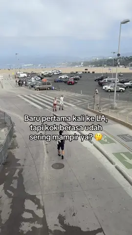 Ternyata pesawat Dodo itu nyata