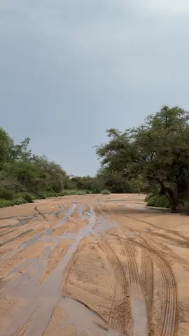 #اكسبلورexplore #امطار #الجنوب #تصويري📸 #😴 #متابعة #سنابي #الجو 