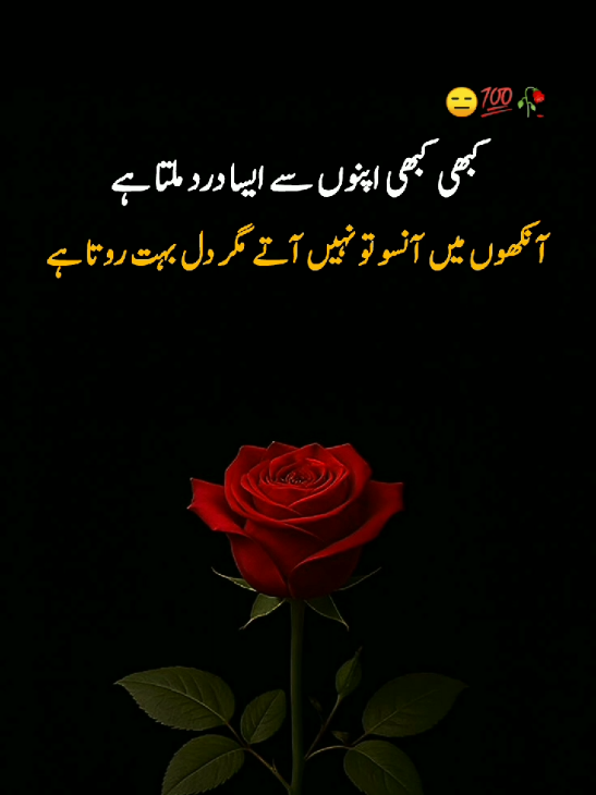 😑💯#foryoupage #urdupoetry #plzviral🥺🥺🙏🙏foryoupage #steelbhai 