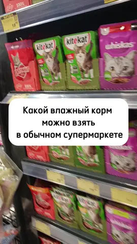 Выбираем кошке корм в обычном супермаркете😉 #котэ #котикток #кошка #котик #котики #кошки #кормдлякошек #выбираемкорм