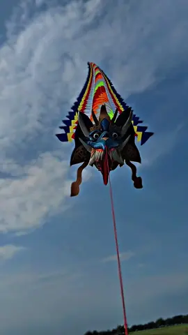 dm25 siap kirim ke juragan🔥 #antasenakite #layangan #layangannaga #trainnaga #fyp 