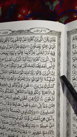 Qs fusilat ayat 30-31 #hmuammarza #qoriinternasional #quran_alkarim #jumatberkah 