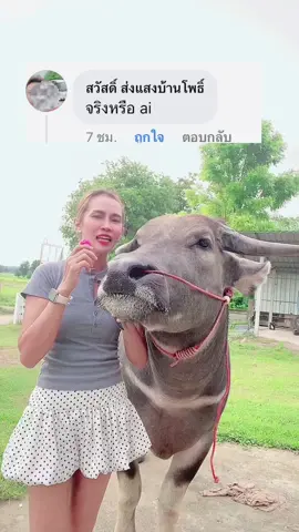 ของแทร่จ้า#viralvideo #ซ้อมุเงิน #น้องควายฉลาดแสนรู้ #dcrfarmควายงามบ้านโคกสูงตําบลยาง #DCRFarm 