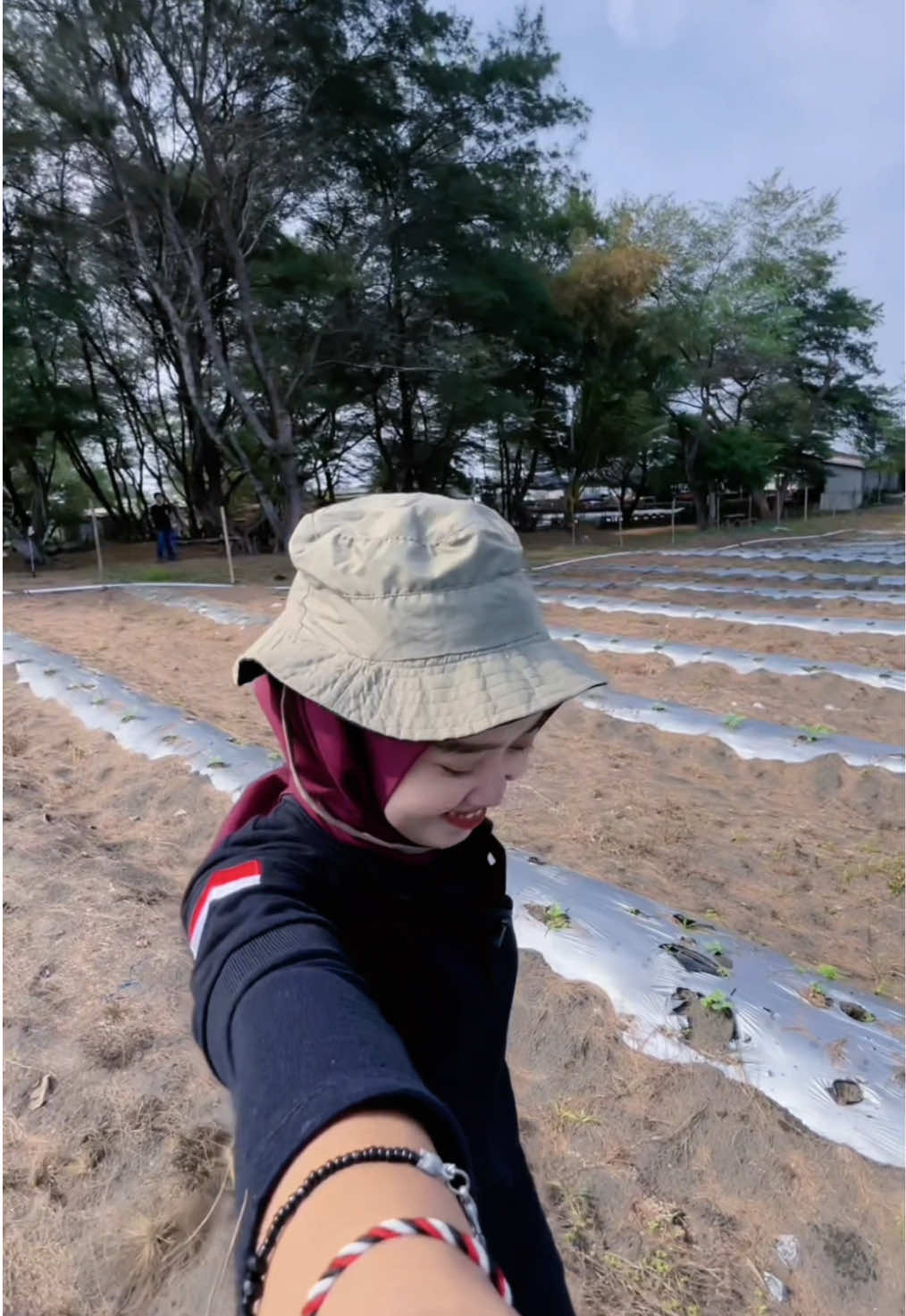 Tanam melon, modal awal udah bisa buat beli mobil  #petani  #petanimuda  #petaniindonesia🇮🇩🇮🇩🇮🇩🌿🌿  #petanimilenial  #petanimodern  #petanimelon  #petanicabai  #fyp  #masukberanda  #kebumen24jam 