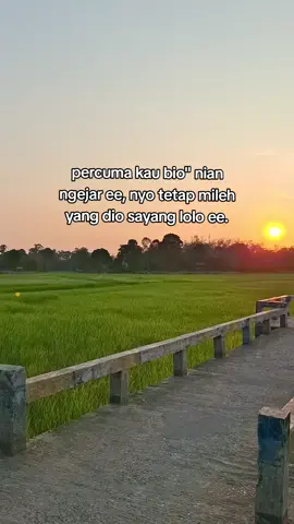 bagain 107 #apekstory #katokato #sansetvibes #foryou #fyp 