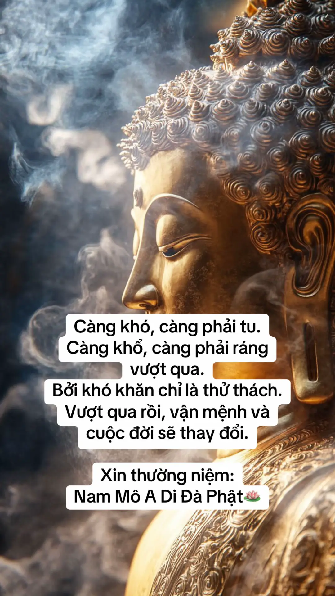 #tinhtam #phatphapnhiemmau #nhungloiphatday #nammoadidaphat #phatphap 