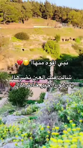 #شتاوي_غناوي_علم_ليبيه #شعراء_وذواقين_الشعر_الشعبي #ليبيا🇱🇾 