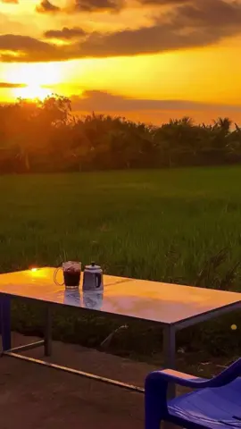 Từng ngày trôi anh và em sống đời có nhau.. #canhdep #miềntây #quêtôi #cảnhchill #lùn #ngãtư #viral #fypシ゚ #trunghung #trungan #xuhuong #luutronkhoanhkhac #fyp 