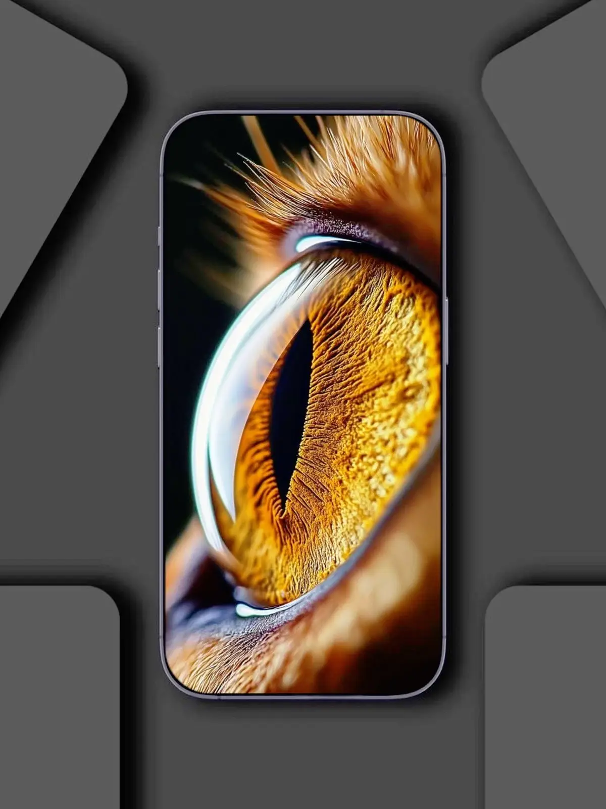 8K and Beautiful Wallpapers For Mobile Screen 👍🏻✅ || Must Try These Wallpapers For Your Phones ‼️#hdwallpapers #fypviralシ #aestheticwallpapers #8kwallpaper #1m 