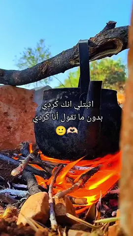 هو حنون هوو😂🫶🏻 #kurdstan #عفرين #riber_korba #مصور_ريبر📸 #تصوير_طبيعة 
