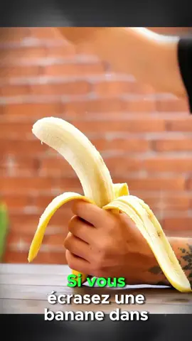 #creatorsearchinsights Best ways to grow banana #jardin #garden #gardentok #gardening 