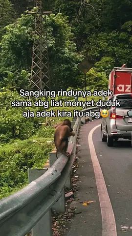 #bollywoodsongs #pecintabollywood #katakatasad #foryou #🥹 