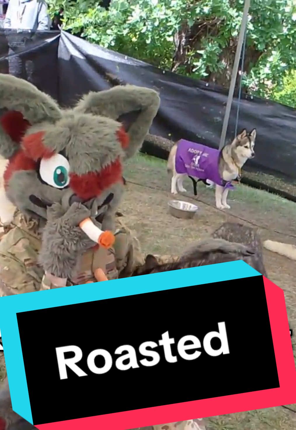 Come at me and give me your best roast you got this I believe in you  #furrys #furryfandom #furrytiktok #furrsuiter #furrymeme 