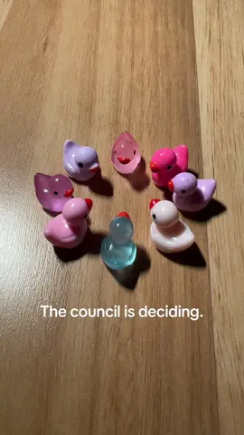 The council doesn’t lie. #thecouncil #thecouncilhasdecided #ducks #duck #resinduck #resinducks #cute #youarecute #yourecute #loveyourself #lovethem #thecouncillovesyou 