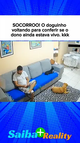 perfil com mais vídeos @🔥Queima de Ofertas🔥 