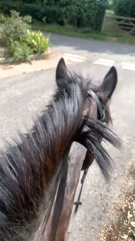 Honestly I have no videos of me riding recently and it’s made me so sad 😞  Beau was so good hacking bareback for some carrots 🥰🥹 #fyp #viral #heartpony #bareback #famous 