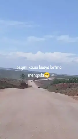 di goda buaya betina...😁🤔🫣🤣🤣🤣