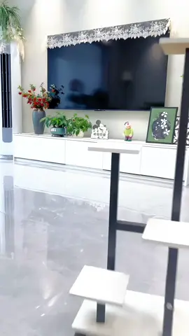 Kệ sắt, nhiều lớp, khung để chậu hoa chậu cây trang trí decor ban công, phòng khách,….  #giadechau#kedechauhoacaycanh#kedechauhoa#xuhuong 