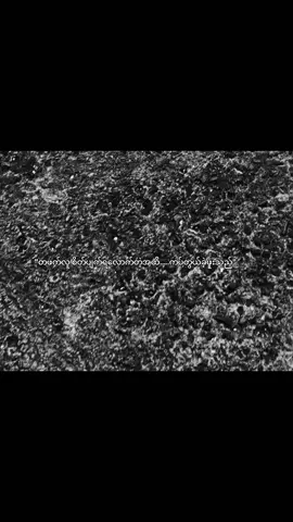 အပြစ်ဖြစ်သွားတာပဲ . . . . .#viewတေရှယ်ကျ #myanmartiktok #foryoupage #ဒါလေးတော့fypပေါ်ရောက်ပါကွာ 