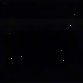 free Palestine 🇵🇸