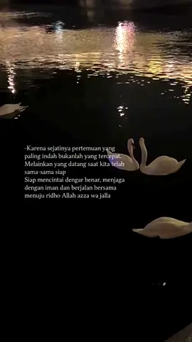Yassarallahu fi amanillah✨