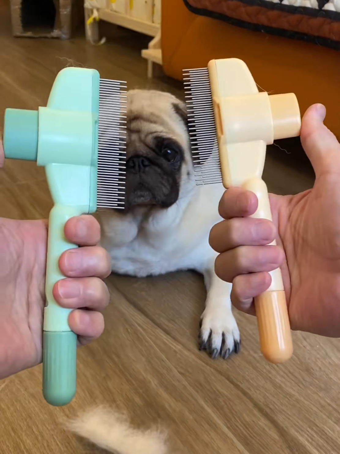 😱Chegou aqui na minha vitrine esse pente que vai transformar o cuidado com seu pet! 🐾 😮Adeus pelos soltos pela casa e desconforto para o seu bichinho! Garanta agora e surpreenda seu melhor amigo! #maedepets🐾❤️ #petslover #vaiprofy #cachorrosnotiktok #cachorros 