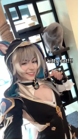 do you think he needs help… #cipher #ciphercosplay #amphoreus #kittycat #cattok #hsrcreators #hsrcosplay #HonkaiStarRail #honkaistarrailcosplay #hoyocreators #gamescom #fyyyyyyyyyyyyyyyy #cutekitten 